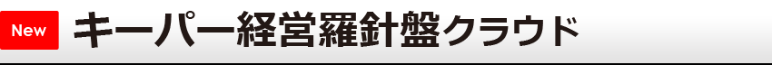 キーパー財務16プロオプション中期軽軽計画作成システム